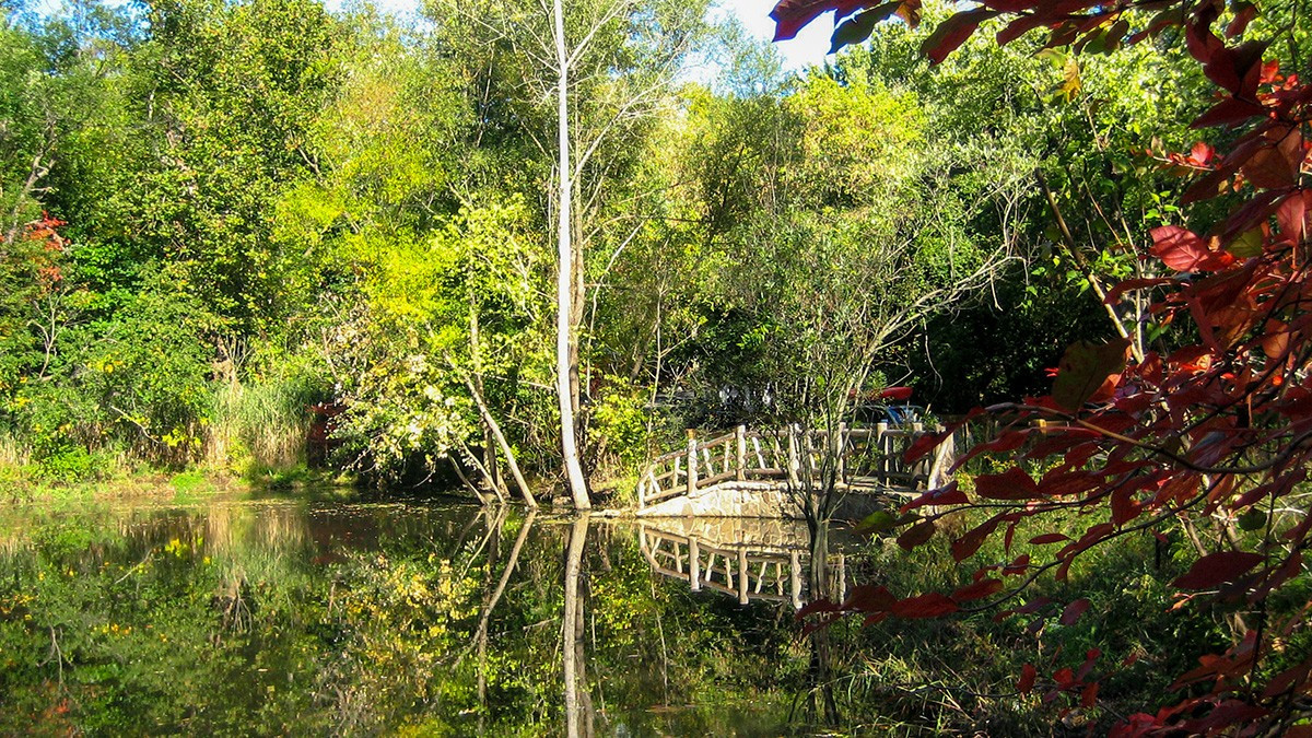 Udall's Park Preserve