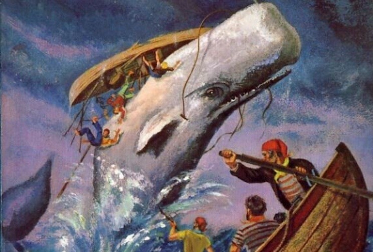 Cover of Moby Dick